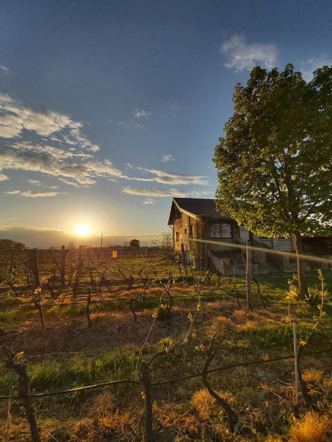 Izletiste Opatovac Pension Buitenkant foto